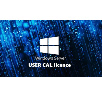 FUJITSU Windows 2025 - WINSVR CAL 10 User