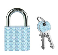 Master Lock Visací zámek  z pevného hliníku 3430EURDWAVE - 30mm