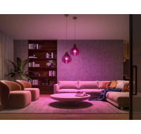 Philips Hue White and Color Ambiance 9W 1100 E27 malý starter kit