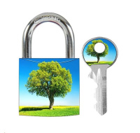 Master Lock 3430EURDAST_tree visací zámek z pevného hliníku