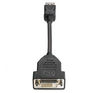 HP DisplayPort To DVI-D Adapter