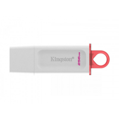 Kingston Flash Disk 256GB USB3.2 Gen1 DataTraveler Exodia (White + Pink)