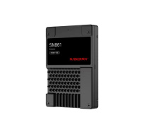 SanDisk Carrera Syndicate SSD 6.4TB DC, SN861, PCIe Gen5, (R:13700, W:8800MB/s), BICS6 TLC NVMe U.2, TCG Opal,Generic